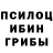 Псилоцибиновые грибы прущие грибы RetroEnvy