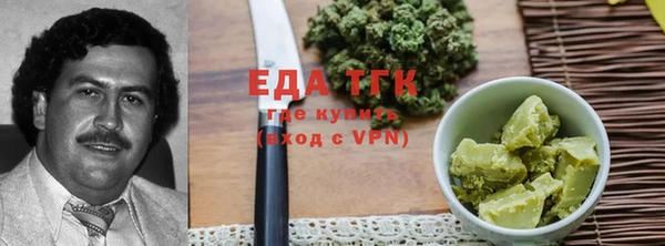 индика Богородицк