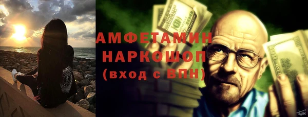 индика Богородицк