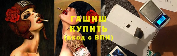 индика Богородицк