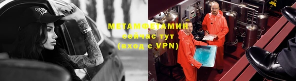 индика Богородицк