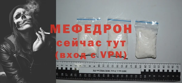 индика Богородицк