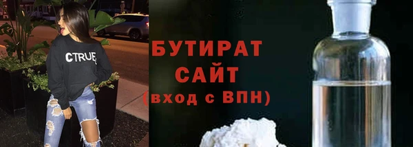 индика Богородицк