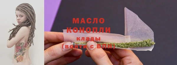 индика Богородицк