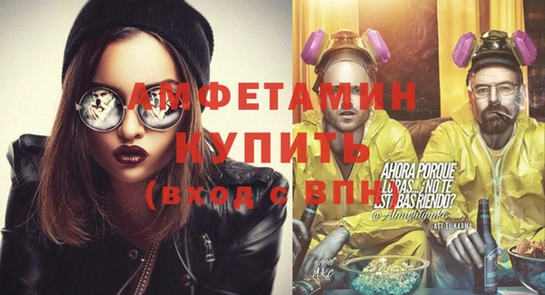 индика Богородицк