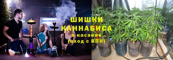 индика Богородицк