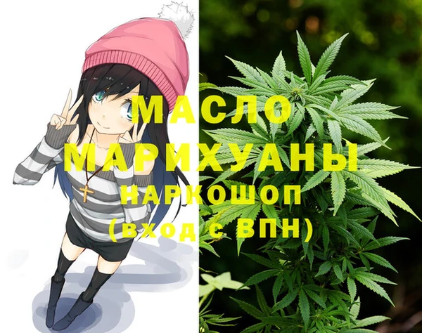 индика Богородицк