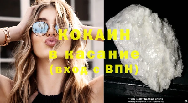 индика Богородицк