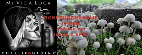 экстази Богданович