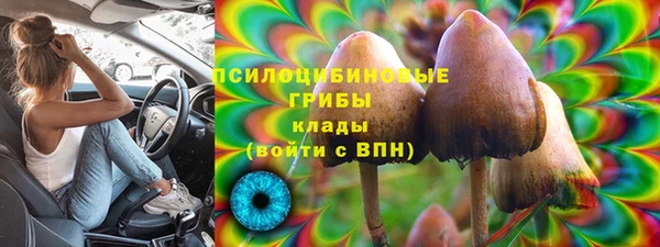 экстази Богданович