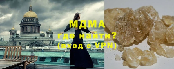 индика Богородицк