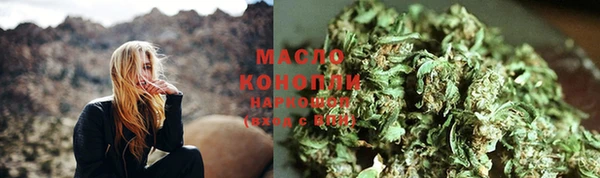 индика Богородицк