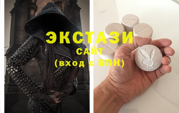 индика Богородицк