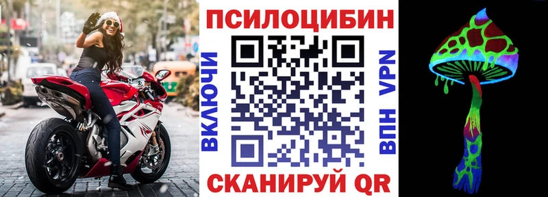 Псилоцибиновые грибы MAGIC MUSHROOMS  хочу   Новокузнецк 