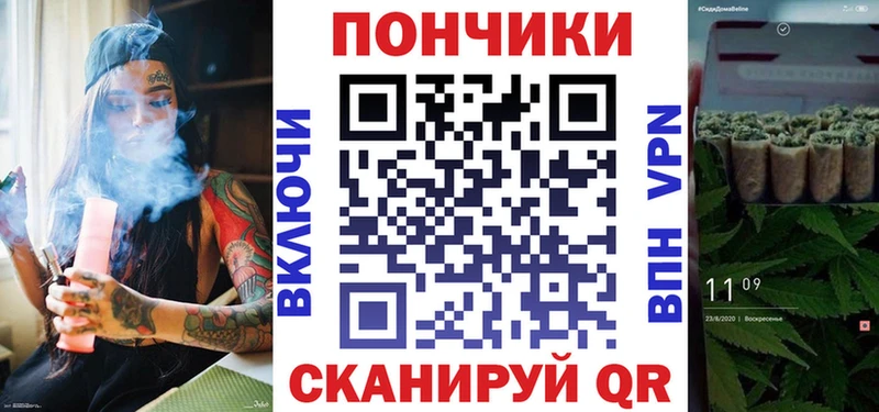 Каннабис сатива Новокузнецк